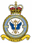 104 Squadron Crest