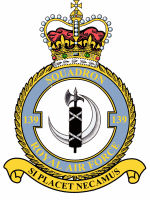 139 Squadron BADGE