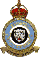 141 Squadron Crest