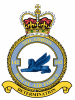 142 Squadron crest