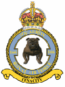 166 Squadron Crest