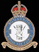 172 Squadron Crest