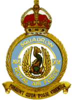 19 squadron badge