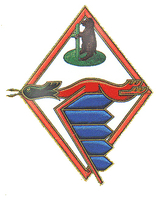 306 squadron crest