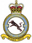 99 Squadron Crest
